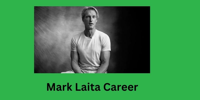 Mark Laita Career